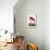 Pl 431 American Flamingo-John James Audubon-Stretched Canvas displayed on a wall