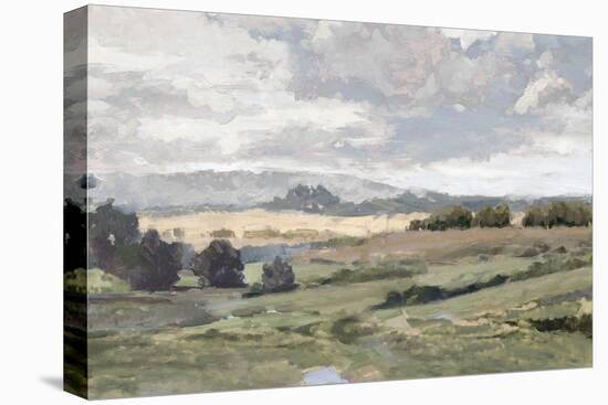 Placid Countryside-Mark Chandon-Stretched Canvas