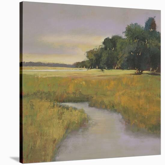 Placid Marsh-Adina Langford-Stretched Canvas