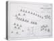 Plan of the Battle of Cape St. Vincent, 14th February 1797, C.1830S (Engraving)-Alexander Keith Johnston-Premier Image Canvas