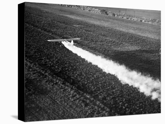 Plane Spraying Alfalfa Fields in Imperial Valley with Ddt-Loomis Dean-Premier Image Canvas