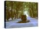 Plane Trees Shade Wide Boulevard of Cours Mirabeau in Aix En Provence-Gjon Mili-Premier Image Canvas