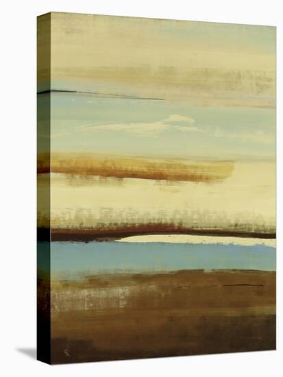 Plane View-Lisa Ridgers-Stretched Canvas