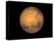 Planet Mars-Stocktrek Images-Premier Image Canvas