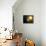 Planet Mercury, Artwork-null-Premier Image Canvas displayed on a wall