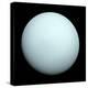 Planet Uranus-null-Premier Image Canvas