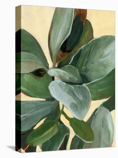 Plant Study I-Annie Warren-Stretched Canvas