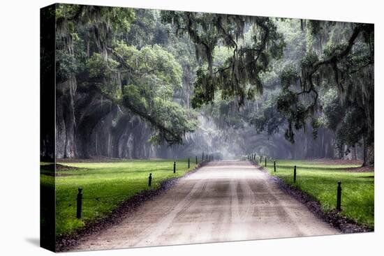 Plantation Road, Charleston, South Carolina-George Oze-Premier Image Canvas