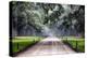 Plantation Road, Charleston, South Carolina-George Oze-Premier Image Canvas