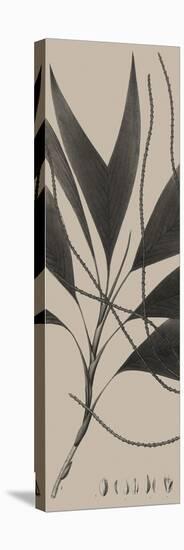 Plantes Exotique IV-Maria Mendez-Stretched Canvas