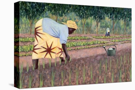 Planting Onions, 2005-Tilly Willis-Premier Image Canvas