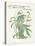 Plants, Helleborus Niger-Walter Crane-Stretched Canvas