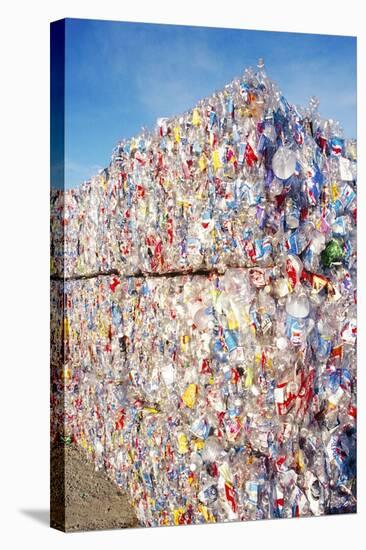 Plastic Recycling-Alan Sirulnikoff-Premier Image Canvas