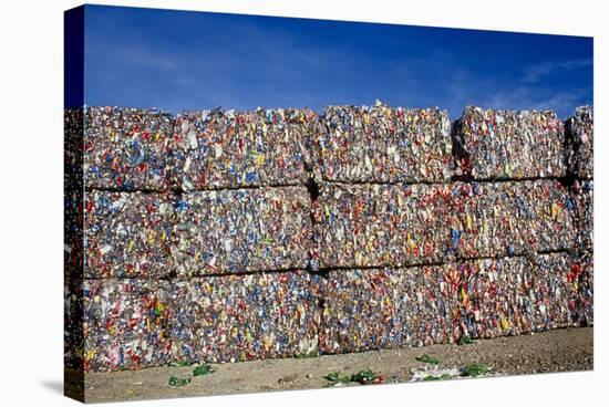 Plastic Recycling-Alan Sirulnikoff-Premier Image Canvas