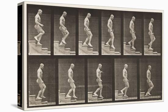 Plate 126. Descending Stairs, 1872-85 (Collotype on Paper)-Eadweard Muybridge-Premier Image Canvas