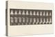 Plate 134.Descending Stairs, with Basin in Hands, 1885 (Collotype on Paper)-Eadweard Muybridge-Premier Image Canvas