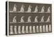 Plate 199. Courtseying, Fan in right Hand, 1885 (Collotype on Paper)-Eadweard Muybridge-Premier Image Canvas