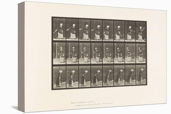 Plate 297. Lawn Tennis, 1885 (Collotype on Paper)-Eadweard Muybridge-Premier Image Canvas