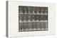 Plate 298.Lawn Tennis, 1885 (Collotype on Paper)-Eadweard Muybridge-Premier Image Canvas