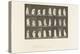 Plate 299. Playing with a Ball, 1885 (Collotype on Paper)-Eadweard Muybridge-Premier Image Canvas