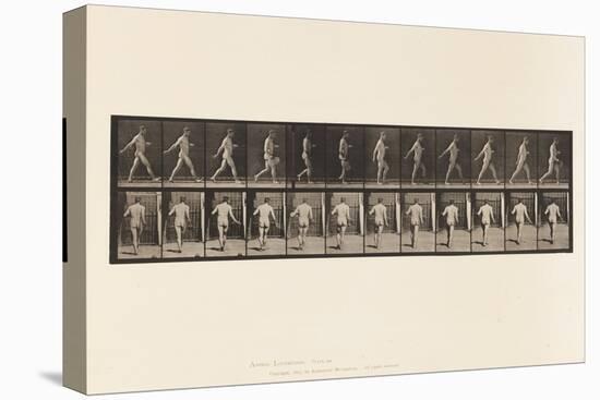 Plate 389. Farmer, Scattering Seed, 1872-85 (Collotype on Paper)-Eadweard Muybridge-Premier Image Canvas