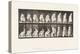 Plate 422.Toilet; Putting on Shoes and Rising from Chair, 1885 (Collotype on Paper)-Eadweard Muybridge-Premier Image Canvas