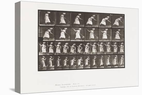 Plate 456. Raking Hay, 1885 (Collotype on Paper)-Eadweard Muybridge-Premier Image Canvas