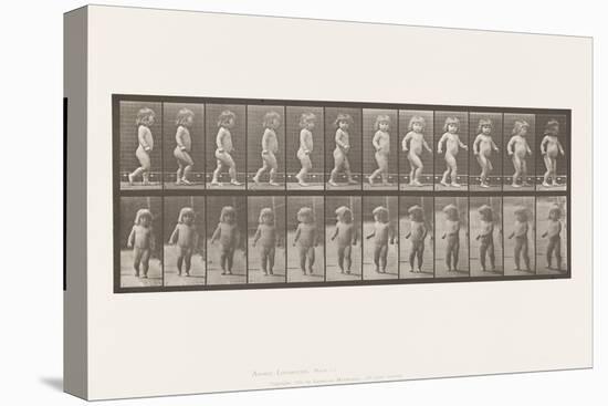 Plate 468. Child, Walking, 1885 (Collotype on Paper)-Eadweard Muybridge-Premier Image Canvas