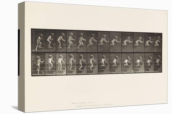 Plate 474. Child, Walking Upstairs, Kneeling, Reaching for Vase, 1885 (Collotype on Paper)-Eadweard Muybridge-Premier Image Canvas