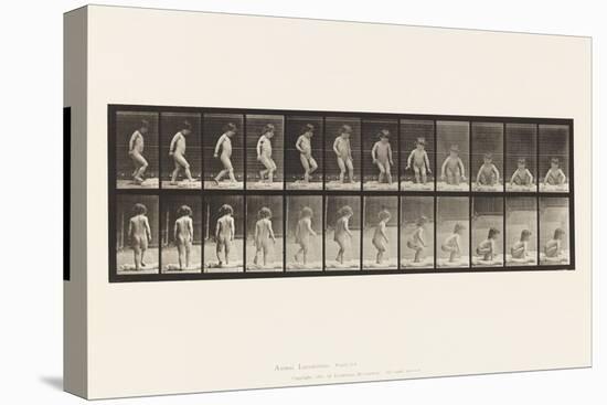Plate 476.Child, Sitting down on the Ground, 1885 (Collotype on Paper)-Eadweard Muybridge-Premier Image Canvas