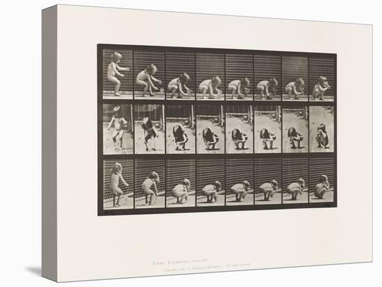 Plate 477. Child, Stooping, Lifting a Goblet, and Drinking, 1885 (Collotype on Paper)-Eadweard Muybridge-Premier Image Canvas