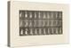 Plate 495. Miscellaneous Phases of the Toilet, 1885 (Collotype on Paper)-Eadweard Muybridge-Premier Image Canvas