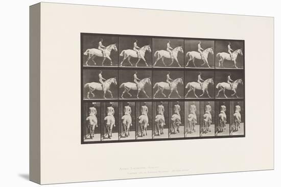 Plate 603. Trotting; Saddle; Ride, 43, Wide, Light-Gray Horse Smith, 1885 (Collotype on Paper)-Eadweard Muybridge-Premier Image Canvas