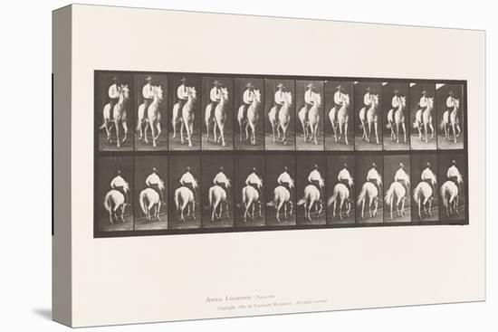 Plate 604. Trotting; Saddle; White Horse, Elberon, 1885 (Collotype on Paper)-Eadweard Muybridge-Premier Image Canvas