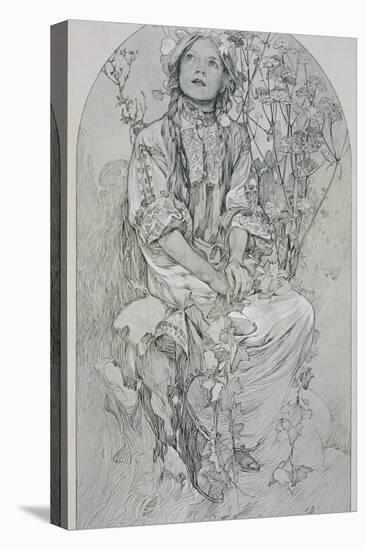 Plate 8 from 'Figures Decoratives', 1902-Alphonse Mucha-Premier Image Canvas