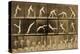 Plate from 'Animal Locomotion' Series, C.1887-Eadweard Muybridge-Premier Image Canvas