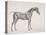 Plate from "The Anatomy of the Horse", C.1766-George Stubbs-Premier Image Canvas