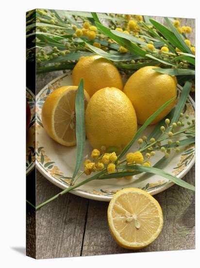 Plate of Lemons and Mimosa Flowers-Michelle Garrett-Premier Image Canvas