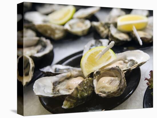 Plates of Fresh Oysters, Sydney's Fish Market at Pyrmont, Sydney, Australia-Andrew Watson-Premier Image Canvas