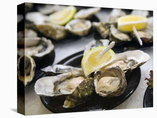 Plates of Fresh Oysters, Sydney's Fish Market at Pyrmont, Sydney, Australia-Andrew Watson-Premier Image Canvas