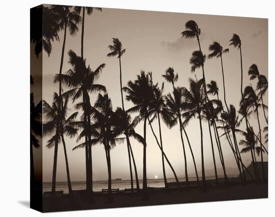 Platinum Palms I-Michael Neubauer-Stretched Canvas