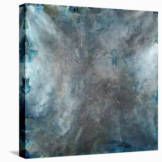 Platinum Silver Wash-Kari Taylor-Premier Image Canvas