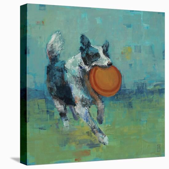 Play Time I-Stacy D'Aguiar-Stretched Canvas