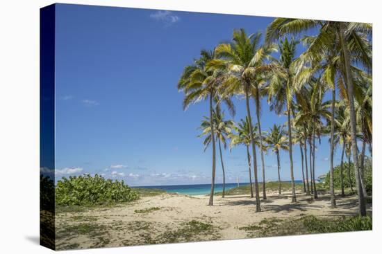 Playa De L'Este, Havana, Cuba, West Indies, Caribbean, Central America-Angelo Cavalli-Premier Image Canvas