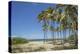 Playa De L'Este, Havana, Cuba, West Indies, Caribbean, Central America-Angelo Cavalli-Premier Image Canvas