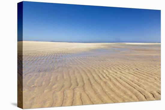 Playa De Sotavento, Risco Del Paso, Fuerteventura, Canary Islands, Spain, Atlantic, Europe-Markus Lange-Premier Image Canvas