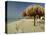 Playa Del Carmen, Caribbean Peninsula, Mexico, Central America-Robert Francis-Premier Image Canvas