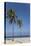 Playa Del Este, Havana, Cuba, West Indies, Central America-Angelo Cavalli-Premier Image Canvas