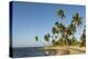 Playa Los Bohios, Maunabo, south coast of Puerto Rico, Caribbean, Central America-Tony Waltham-Premier Image Canvas