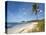 Playa Pelada, Nosara, Nicoya Peninsula, Guanacaste Province, Costa Rica, Central America-Robert Francis-Premier Image Canvas